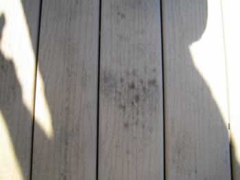 Same composite deck (as above photo). Composite is wet with water. Water magnifies stains on composites. Will you be another victim of what is commonly known in the scientific community as; The Chlorine Bleach Scam?