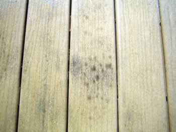 Same composite deck. Composite is wet with water. Water magnifies stains on composites. Will you be another victim of what is commonly known in the scientific community as; The Chlorine Bleach Scam?