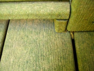 CORTE-CLEAN_CORRECT-DECK_BEFORE_MOLD-LICHEN-MOSS