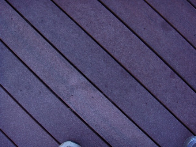 Trex Deck - Dry - with Mold Stains