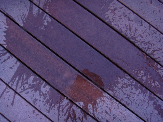 Trex Deck - Wet - with Mold Stains